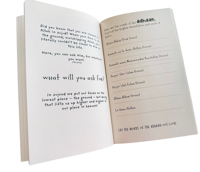 8455ab68-48fd-4b8e-a57f-bf6bd261df1a__10520